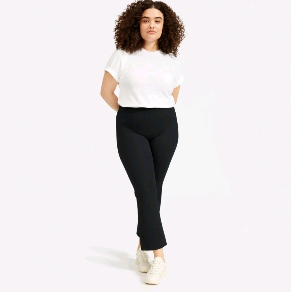 Everlane Kick Crop Work Pants 10 Black